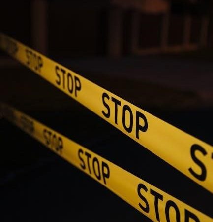 the 50th law filetype:pdf