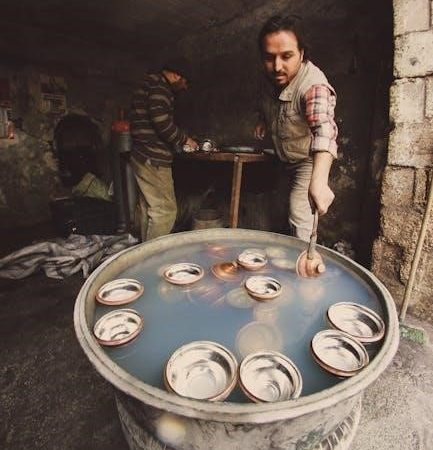 electrolux dishwasher owners manual