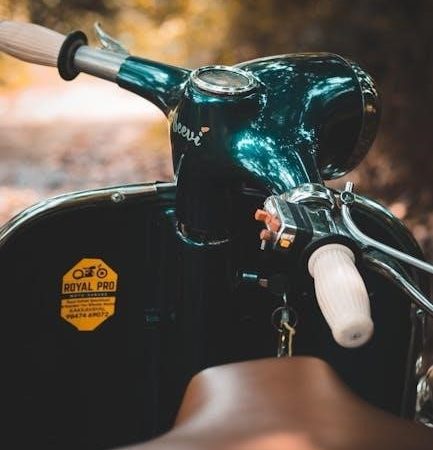 wiim pro plus manual