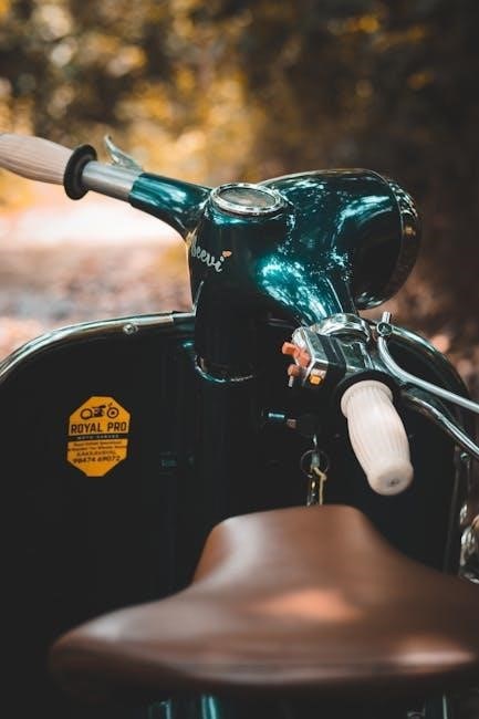 wiim pro plus manual