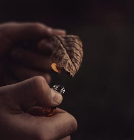 sig p320 manual safety kit