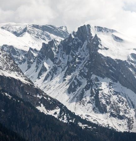 as/nzs 3000:2018 pdf free download