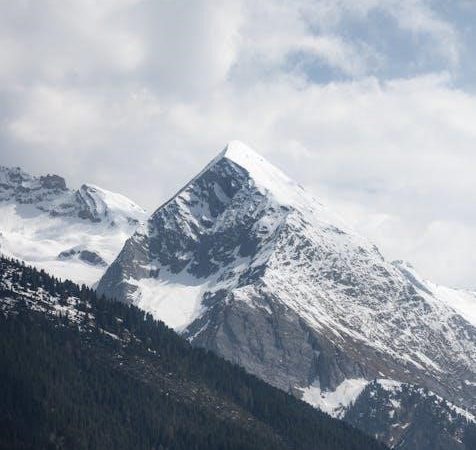 acls provider manual 2020 pdf free download