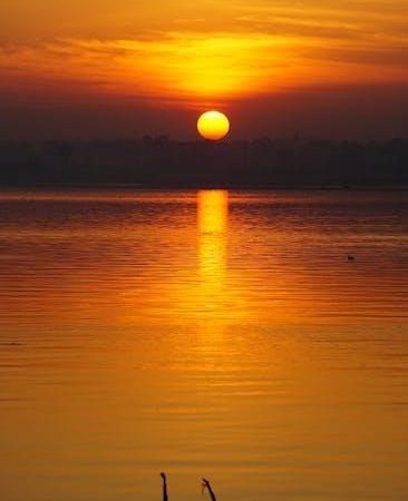 subrahmanya bhujangam in telugu pdf