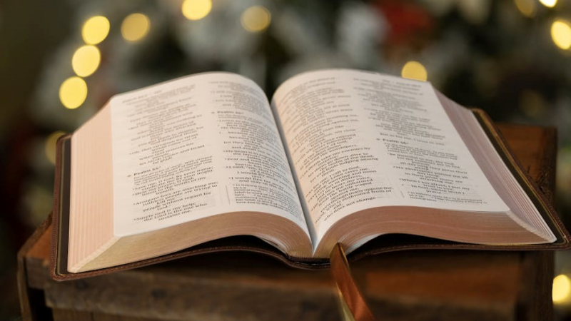 couples bible study plan pdf