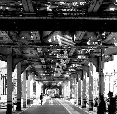 illinois 5 day notice pdf