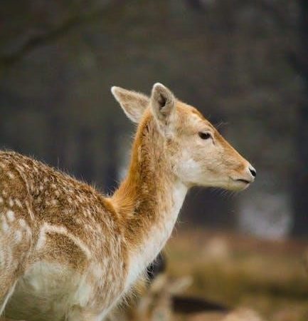 juvenile delinquency in a diverse society 3rd edition pdf free