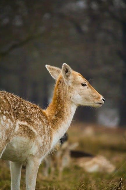 juvenile delinquency in a diverse society 3rd edition pdf free