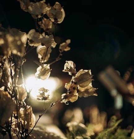 surah al fatihah pdf