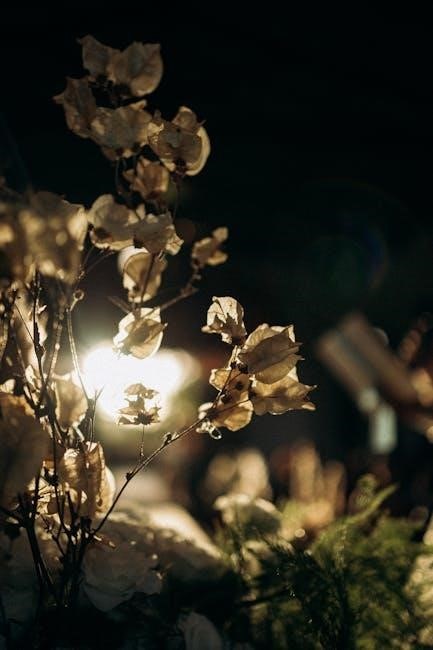 surah al fatihah pdf