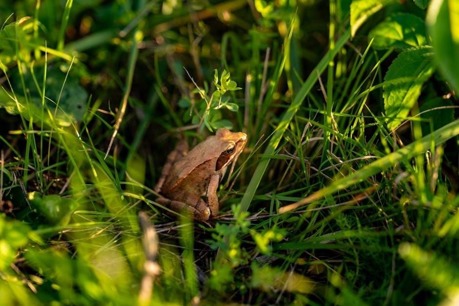 essentials of biology pdf