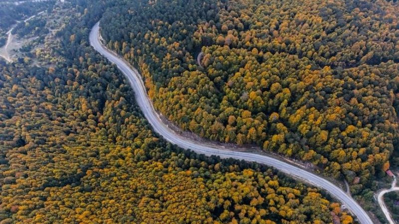 swords of the serpentine pdf