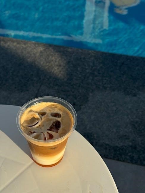 bestway pool manual pdf