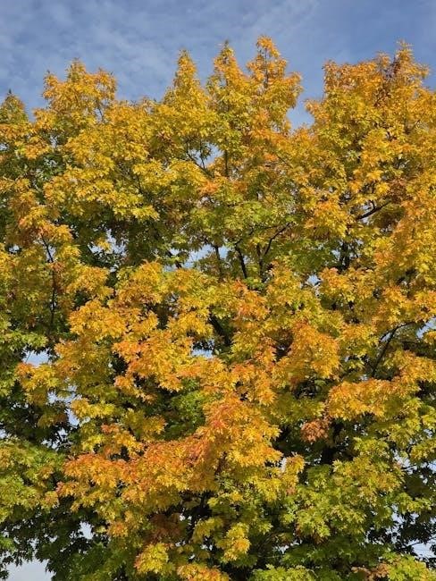 photosynthesis biointeractive answer key pdf