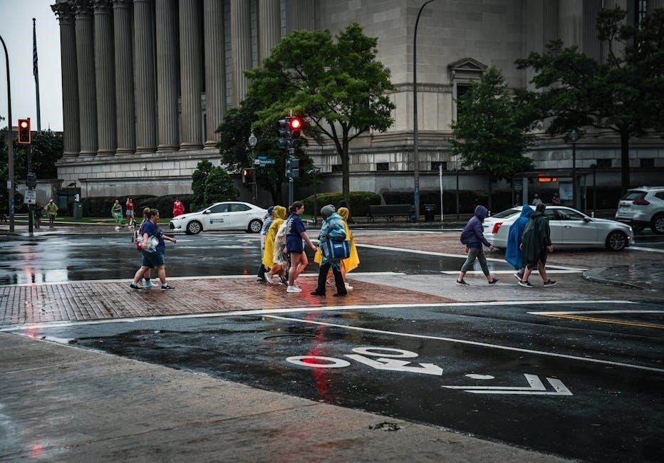 reel-4 scoring manual pdf free download