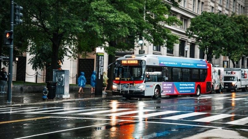 harry potter order of the phoenix pdf free