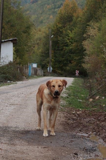 5 4-3-2-1 grounding pdf