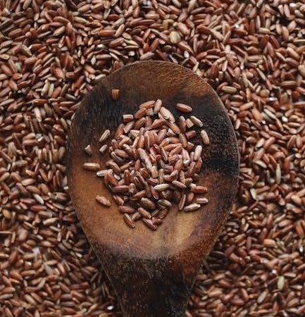 trader joe’s brown rice instructions