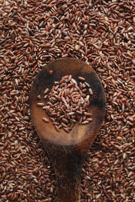 trader joe’s brown rice instructions