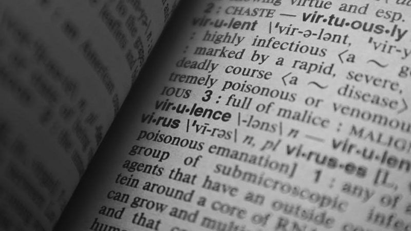 16 elements of explicit instruction