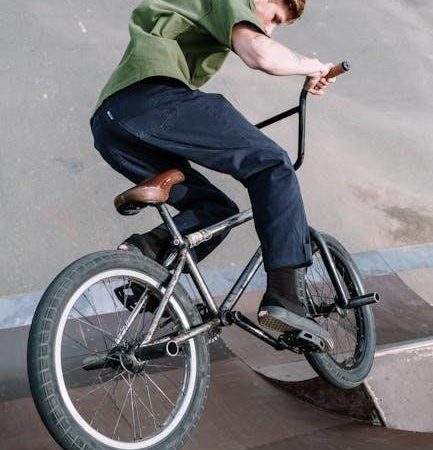 domestic violence cycle of abuse wheel pdf