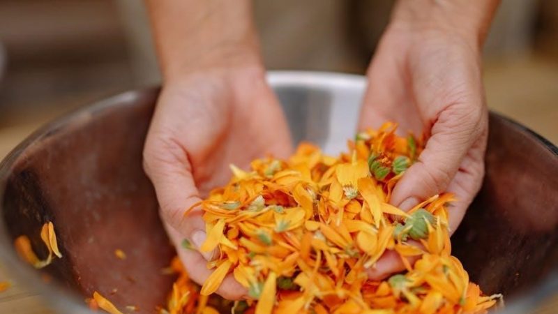 high five enail user manual pdf