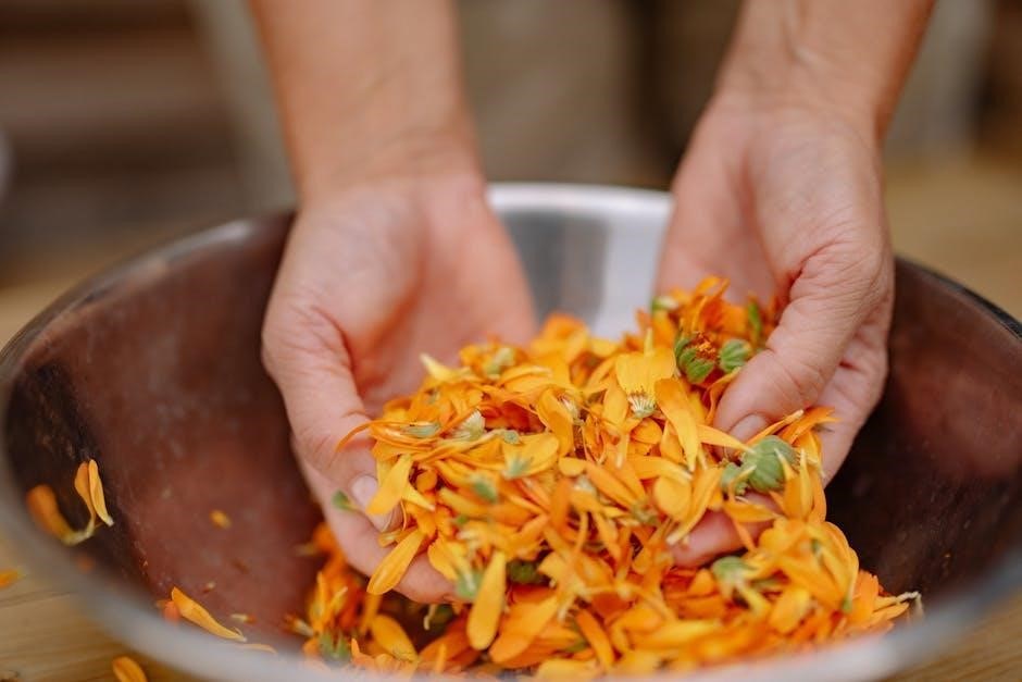 high five enail user manual pdf