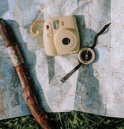 dorsaneo texas litigation guide