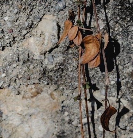 weathering worksheet pdf