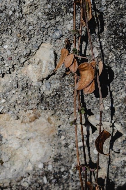 weathering worksheet pdf