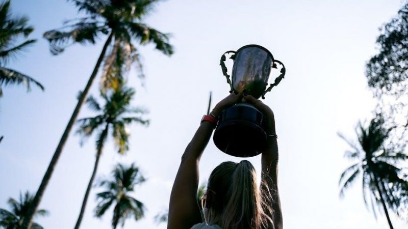 champion air compressor manual pdf