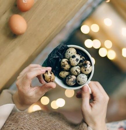 dash egg cooker instruction manual