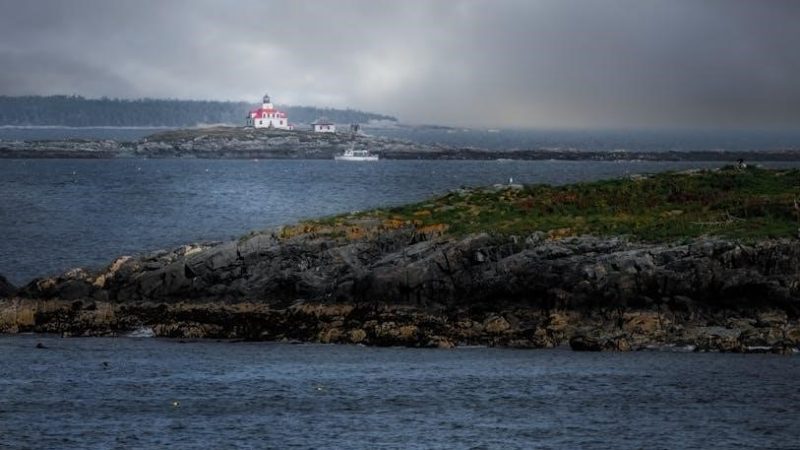 staten island tv guide