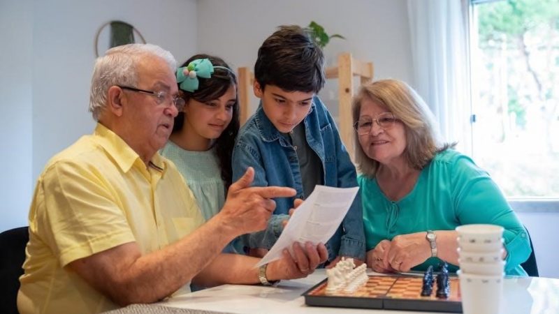 wwf war zone game boy instruction booklet pdf