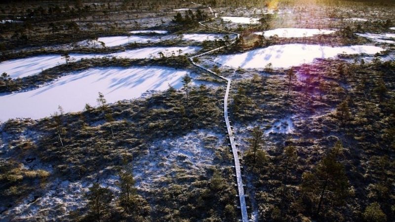 winter park travel guide