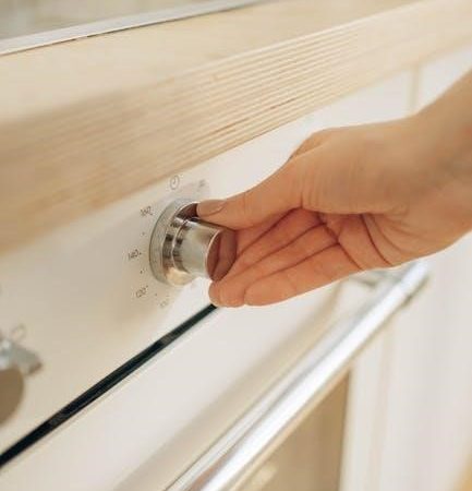 twin star international electric fireplace manual