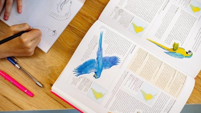 concise st. martin’s guide to writing