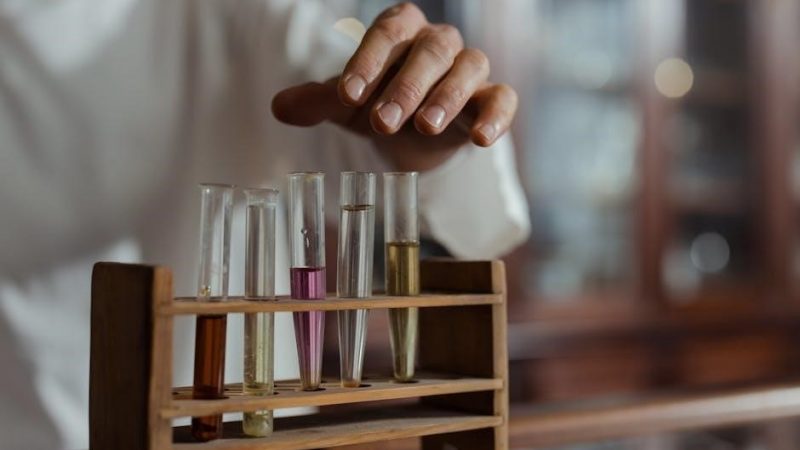 kansas permit test study guide