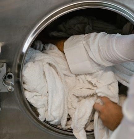 instruction manual for electrolux washing machine