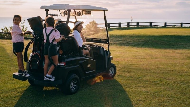 yamaha golf cart owners manual