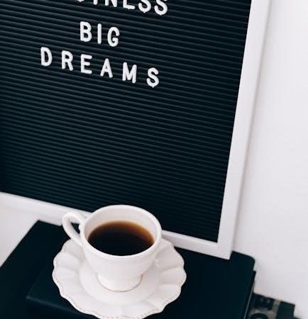 lean startup book pdf