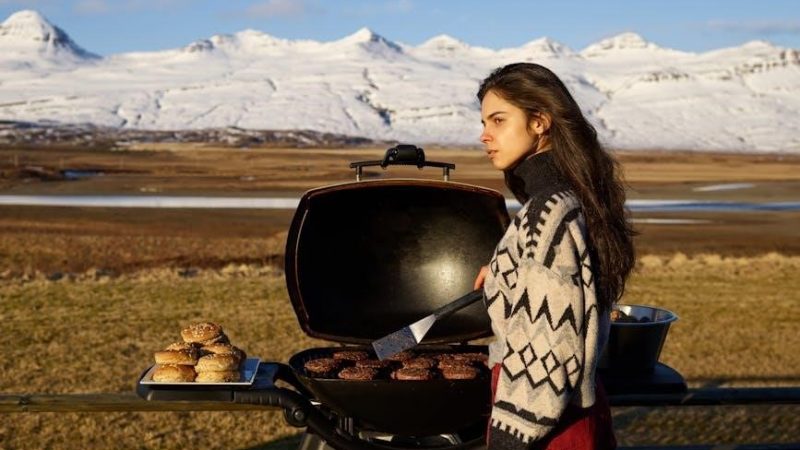 manual weber spirit e 310