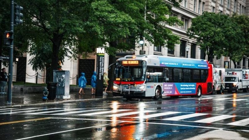 358 pace bus schedule pdf